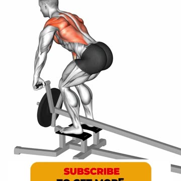 Sculpt Your Back #backexercises #fitnessgoals #strengthtraining #sculptedback #backday #shorts