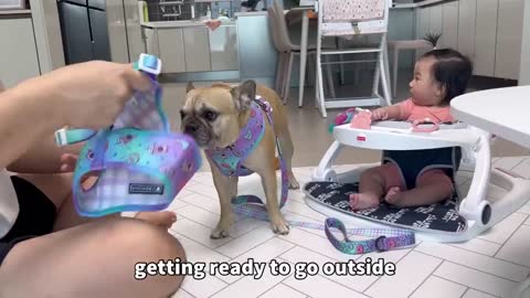 My Dogs and Baby's Morning Routine In Our New Home