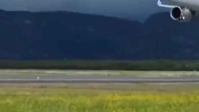 #airbus #plane #flight #aircraft