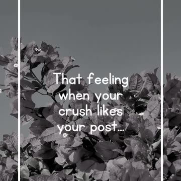 That feeling when your crush likes your post...