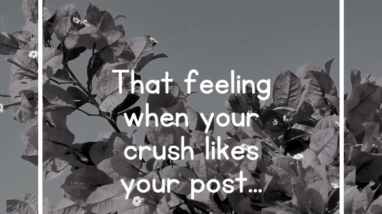 That feeling when your crush likes your post...