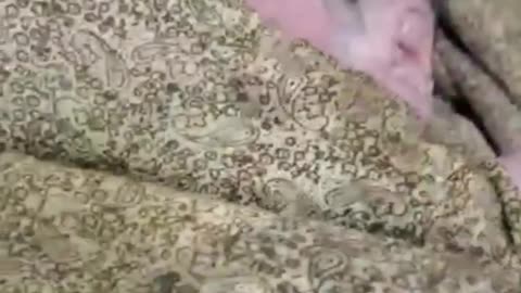 Part2 cleaning with soap and oil after birth new born baby
