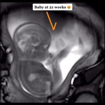 The Spark of Life: Women are the only beings that can guide, steer ....