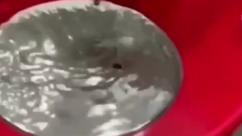 red mercury