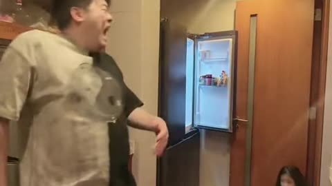 Funny videos