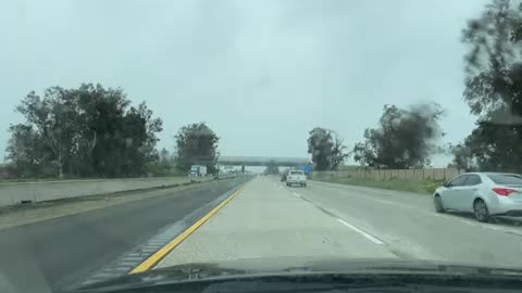 Live - On The Road To Document Fascism