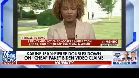 CHEAP FAKES OR LIBERAL LIES???