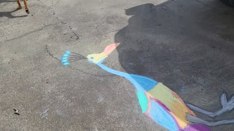 Chalk drawings