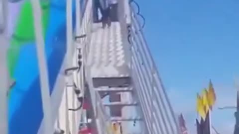 I keep watching this over and over, the dog is so happy!