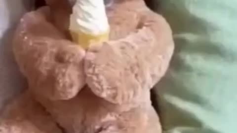🤣Funny Dog Videos 2022🤣 Dogs Eating Ice Cream