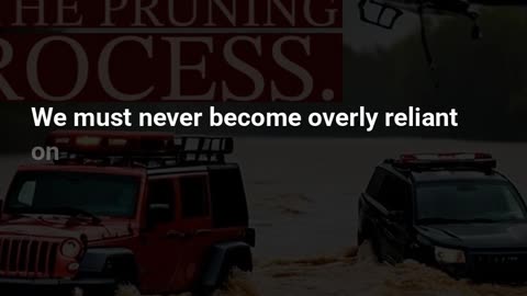 Pruning: God or Men?