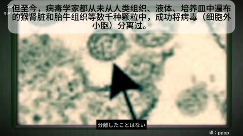 病毒不存在
