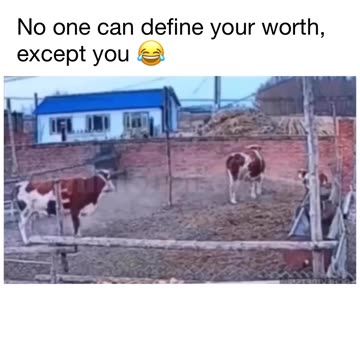 Bro Escape The Matrix😂