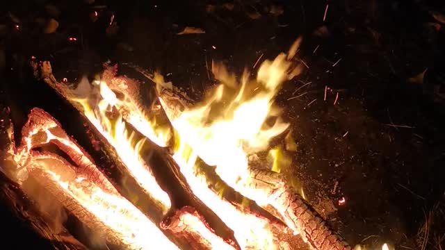 Incredible bonfire in nature at night