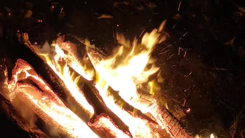 Incredible bonfire in nature at night