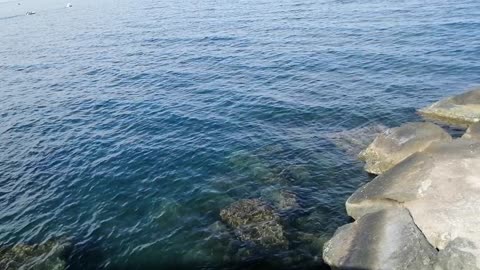 calm black sea