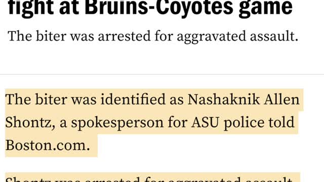 HUGE Fan Brawl Breaks Out During NHL Game