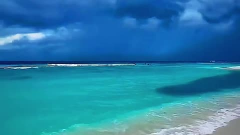 Beach vibes #travel #viral #shorts