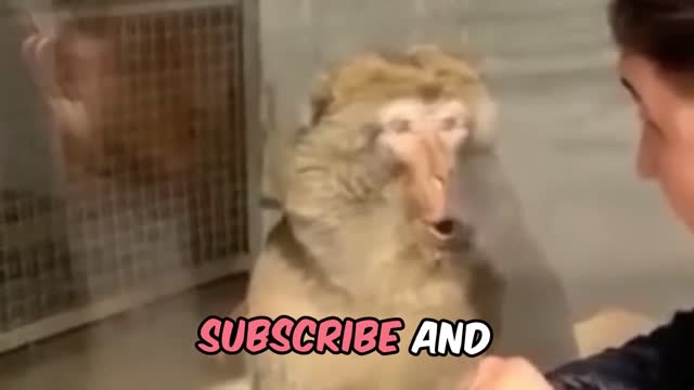 You HAVE TO SEE THIS TO BELIEVE IT!