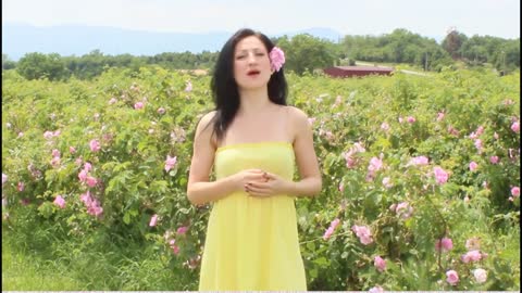 The Magical Bulgarian Rose Valley