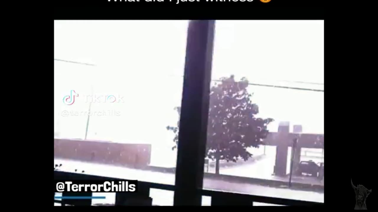 What did i just witness