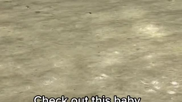 13310915589715276