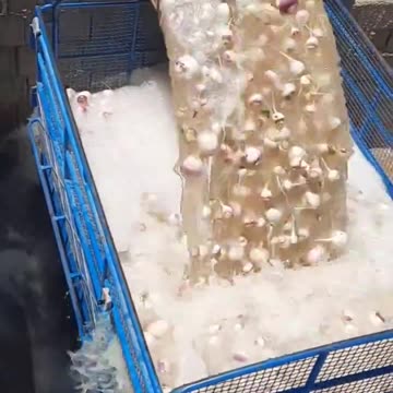 Quiz time! Do you know what is happening here? 🤔 Answer reveal coming soon