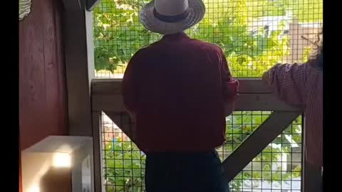 Yee Haw WorkPlace Fun