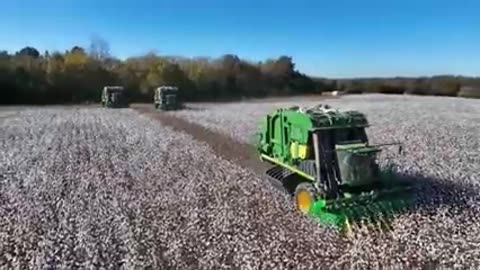 World farmers millions of poultry in the pasture-chicken farming