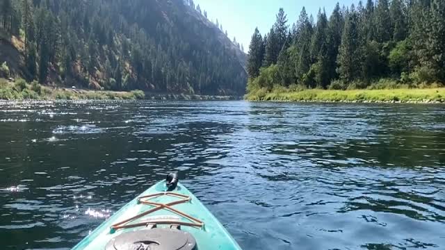 Kayaking the Snake river.
