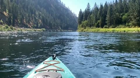 Kayaking the Snake river.