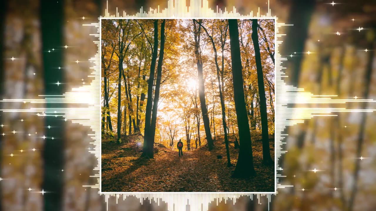 Dj Cutman ▸ Through the Forest