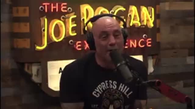 Joe Rogan Schooling Dr. Gupta About Ivermectin