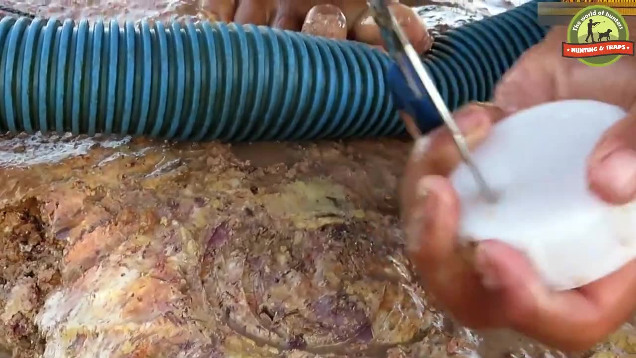 Believe This Fishing? Smart Boy Unique Fish Trapping System Using Long Pipe