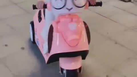 Viral Video
