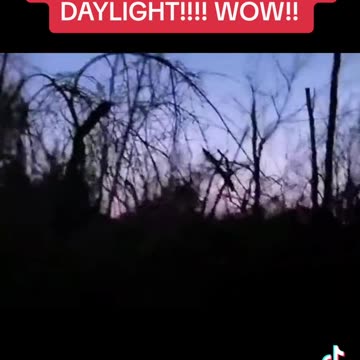 TR3B Filmed In Broad Daylight ?