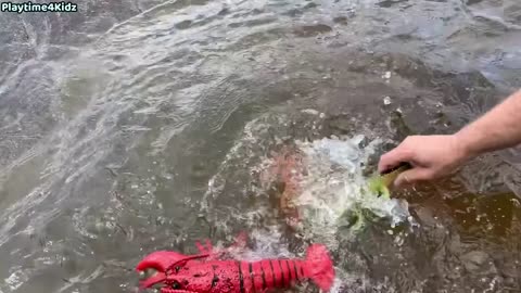 Animal Toys at this Summer 2023-24 HD