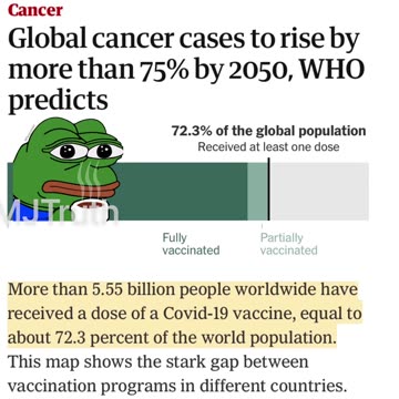 WHO: Global Cancer Cases expected to Rise 75% - I wonder Why?