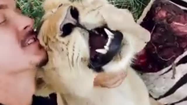 lion and dean shneider