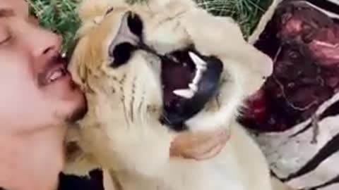 lion and dean shneider