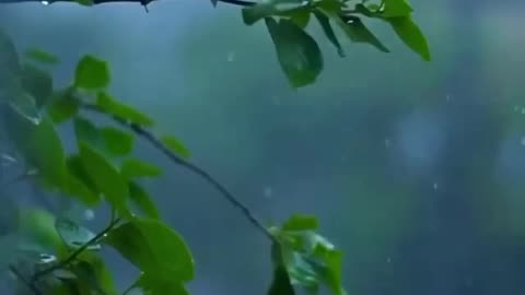 Beautifull view
