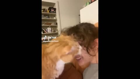 Funny cats meme||😹😹