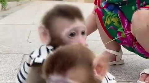Baby&monkey