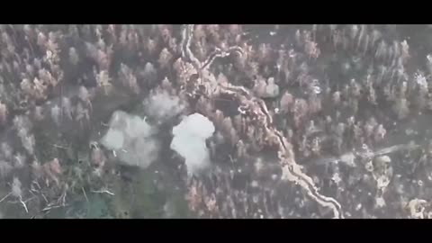 Fighters fire grenade launchers at enemy positions in the Serebryansk in the Luhansk