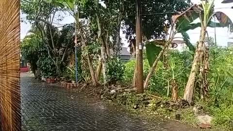 When the Rain Falls Wet Nature