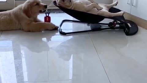 Αυτή είναι ζωή ☺️ περίμενε μέχρι να ακούσεις το ροχαλητό 😂