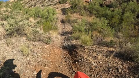 Hot desert ride Arizona