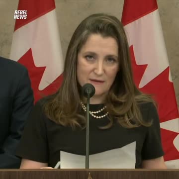 Trudeau's finance minister and WEF Trustee: We're Spying On Every Financial Move