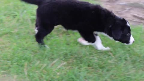 Abby
