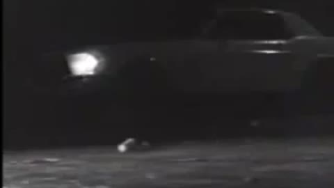 Black Flag – Drinking and Driving